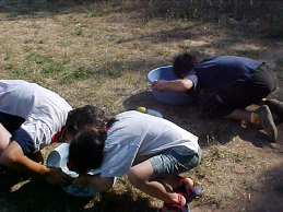 JUEGOS TRADICIONALES Y DE CUCAA 